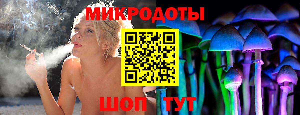 Псилоцибиновые грибы прущие грибы  Вход с VPN  Псилоцибиновые грибы Cubensis  Тавда 